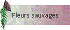 Fleurs sauvages