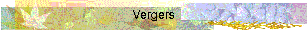 Vergers