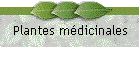 Plantes mdicinales