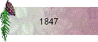 1847