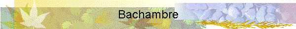 Bachambre