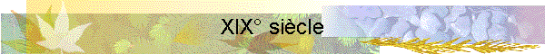 XIX sicle