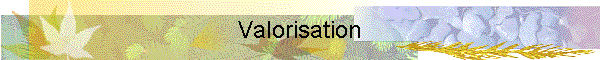 Valorisation